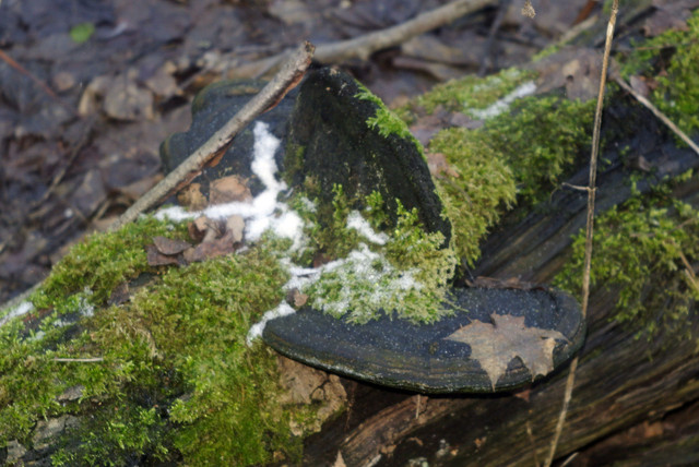 DSC8437-2.jpg