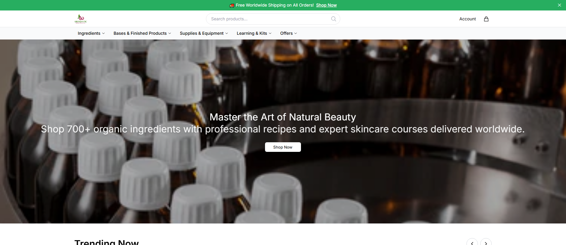 Stored capture of aromanticonline.shop