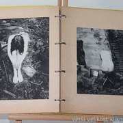IMG-9687