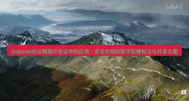 Snipaste 医学影像共享.png