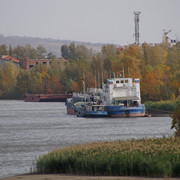 DSC08231