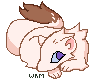 2605.png