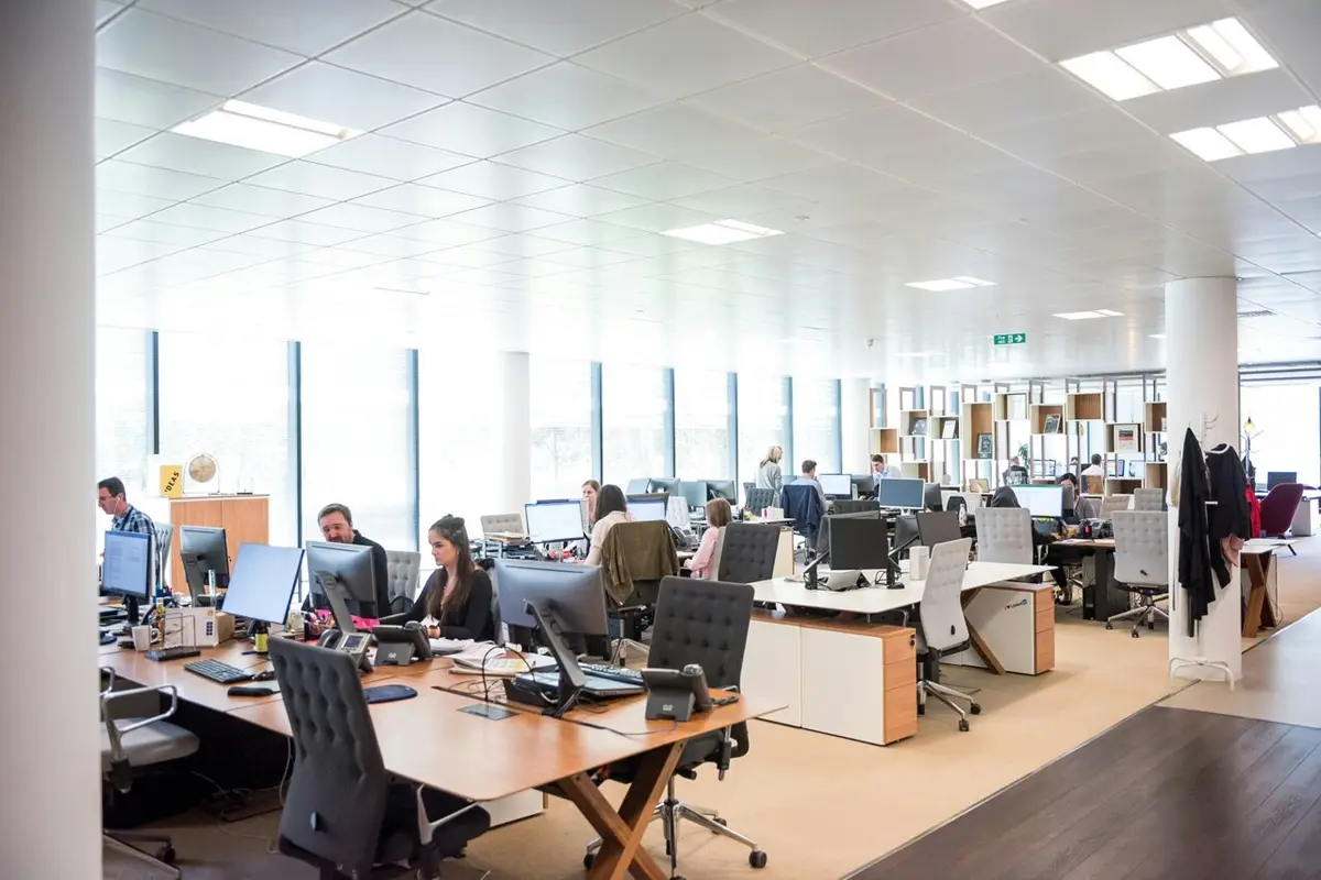 Cutting Work Hours Linked to Lower Obesity Rates