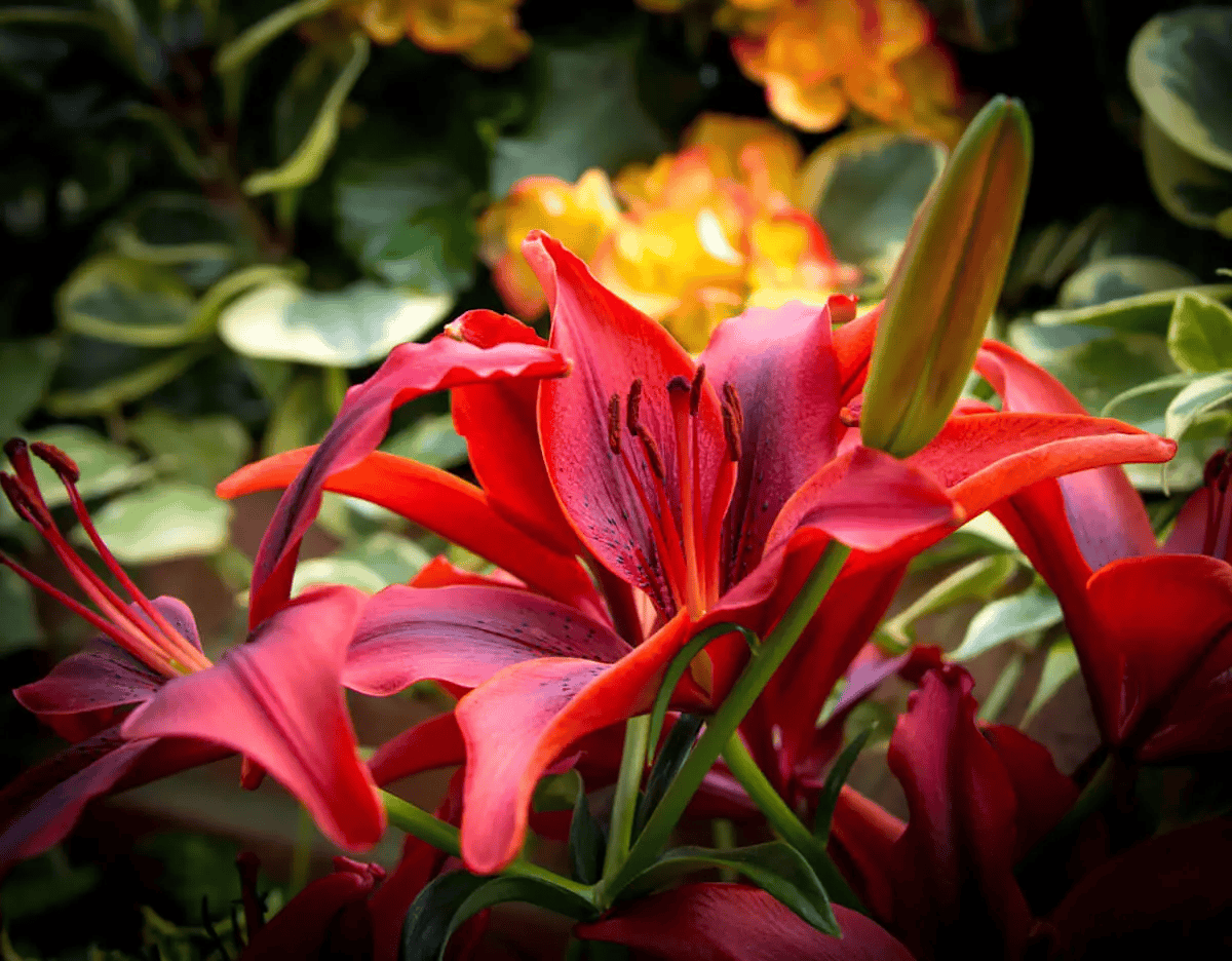 What Makes Us Different