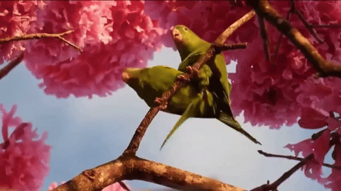 [Image: giphy.gif]