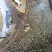 IMG-6019