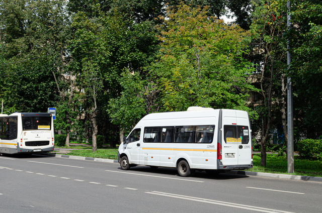 AAA 0559