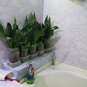 IMG 6465