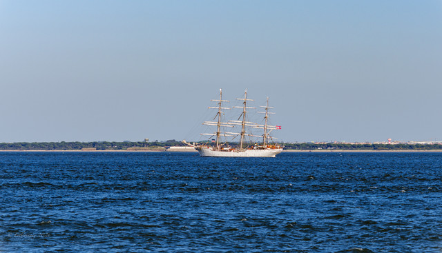 DSF5693.jpg