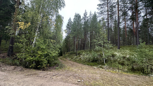 IMG 4961.jpg