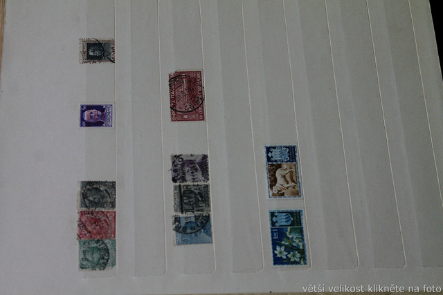 IMG-6963.jpg