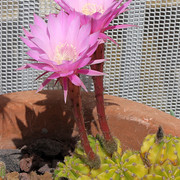 IMG-8557