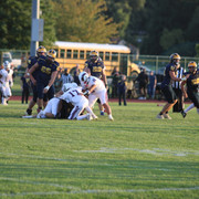IMG-4229