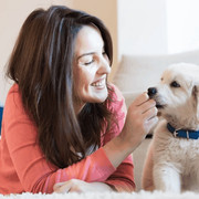 Pets-Health-100