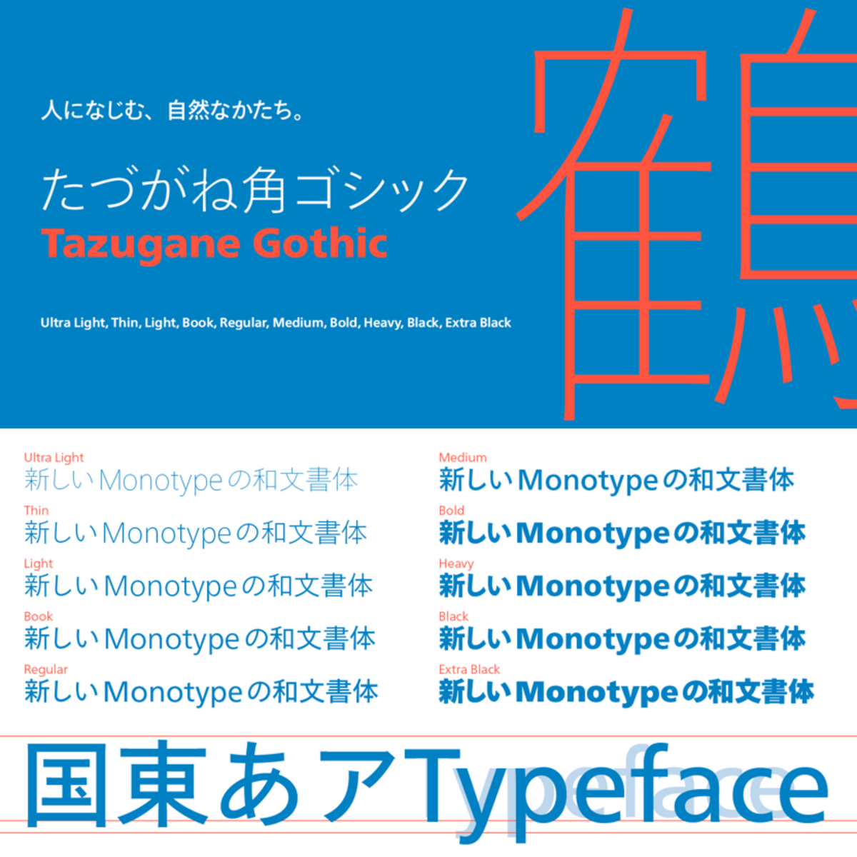 Tazugane® Gothic: Own the Screen. Unleash Bold Expressiveness for App Headlines & In-App Narratives.