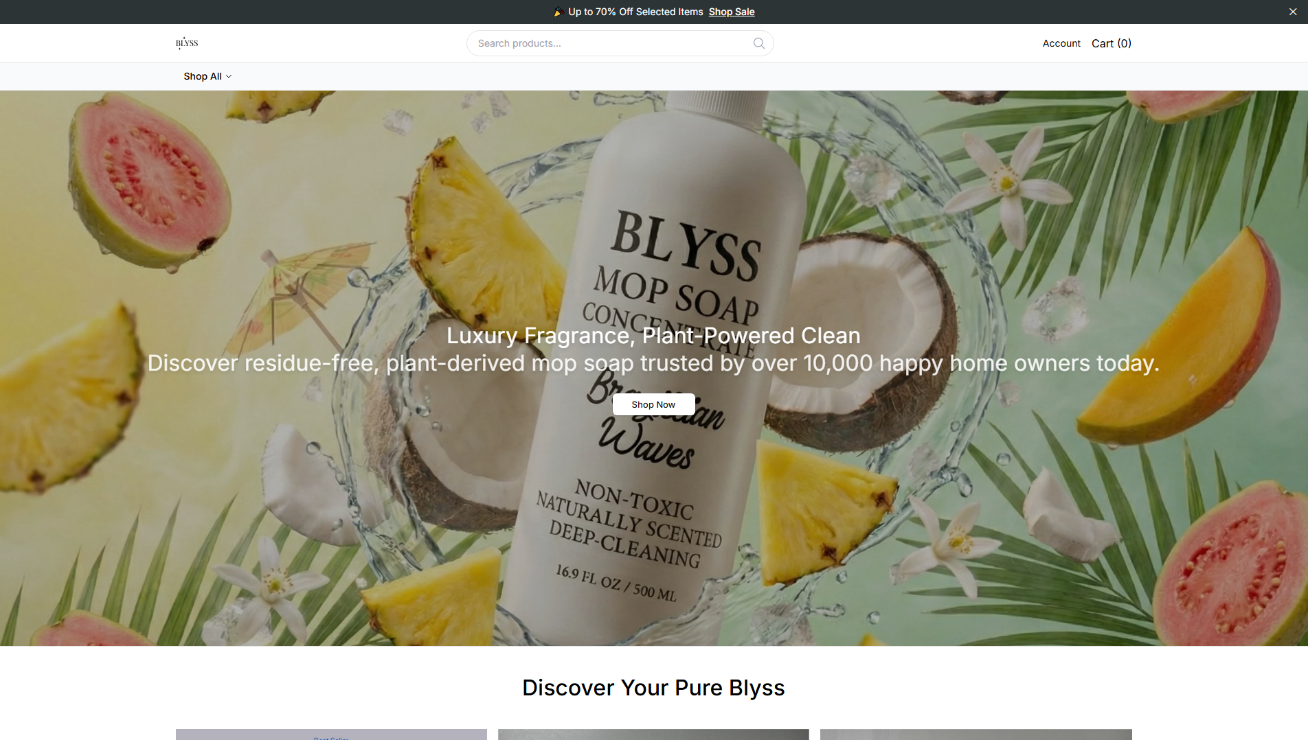 Stored capture of blyv.shop