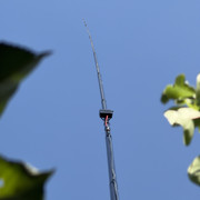 IMG 7616