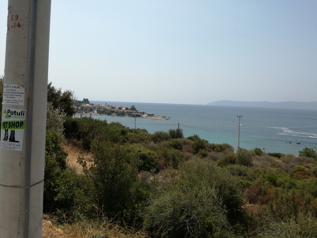 teos.jpg
