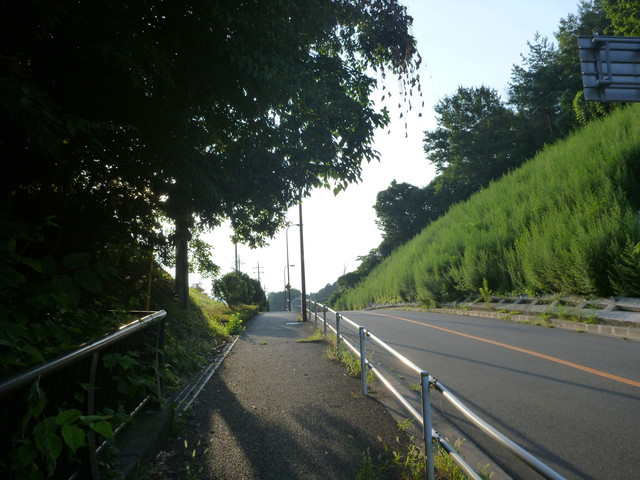 P1340744.jpg