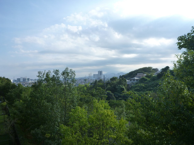 P1350253