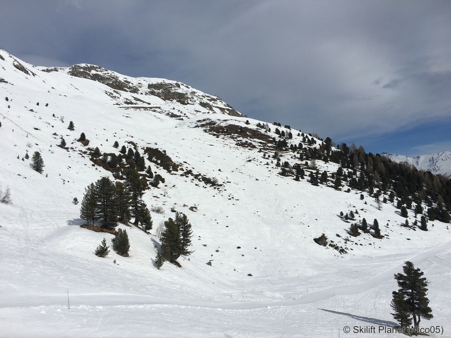 IMG-8853.jpg