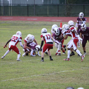IMG-2984