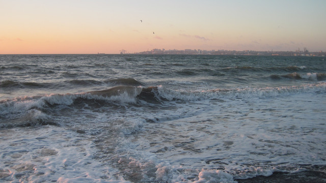 IMG-0699