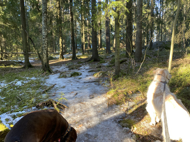 6-DE264-FB-A38-B-4218-9-B4-D-240-E434-E5