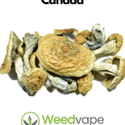 Main-Order-Weed-Canada-38