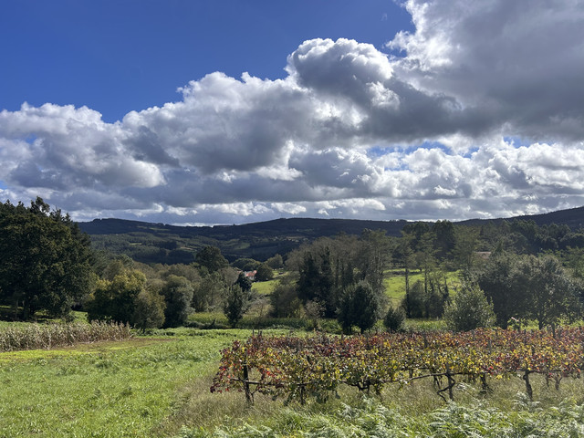 IMG-8279