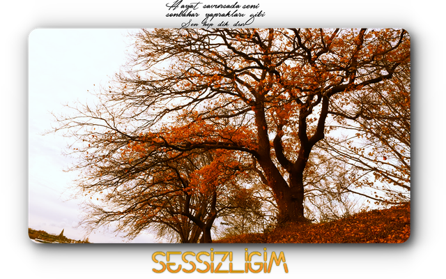 sessizlikk.png