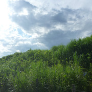 P1330058