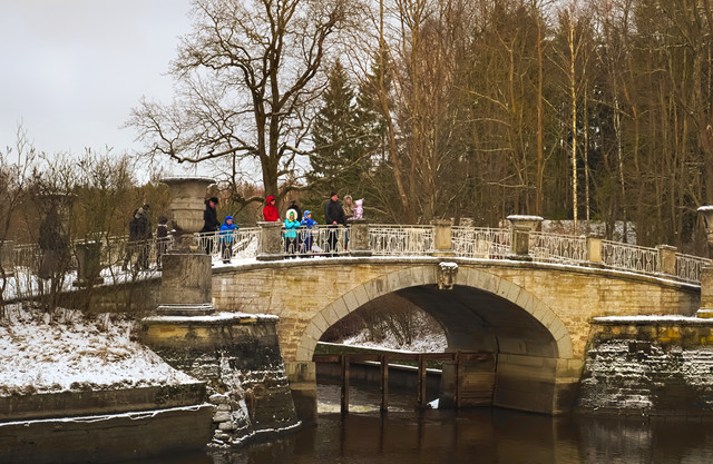 DSCF1115.jpg