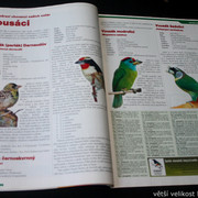 IMG-7761