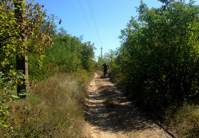 IMG-4155.jpg