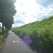 P1330054