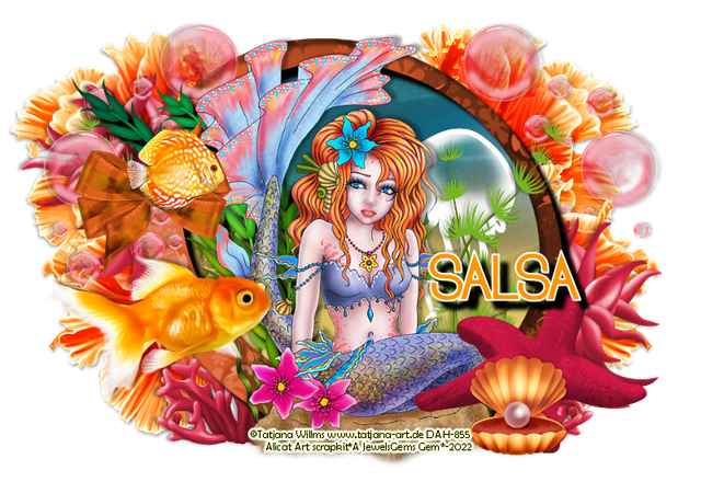 salsa-aafishtag