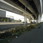 2011-12-15-173