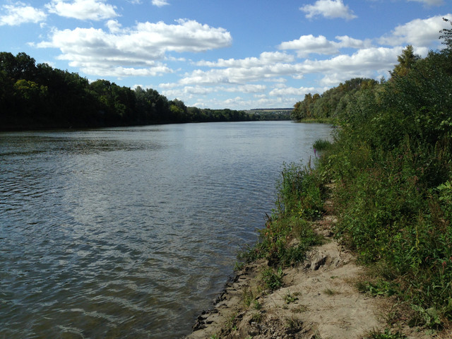 IMG-4110.jpg