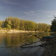 100f0087m