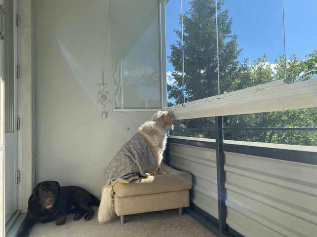 3-EA5-B99-F-9747-4654-8428-B6687344-CC00