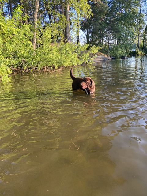 91-B74-EBD-C276-45-BC-8-FBF-4-BFAFBB67-B