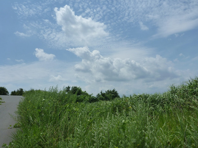P1330199