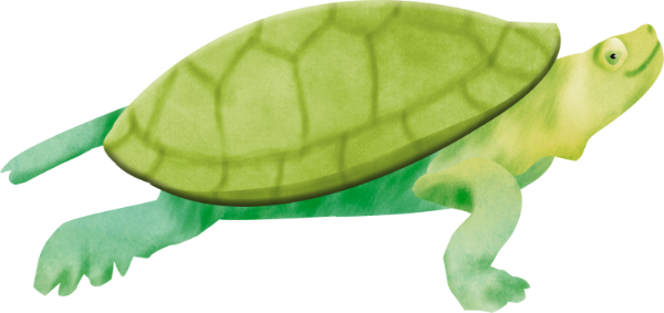 Bee am el81.png