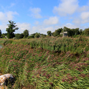 IMG-1458