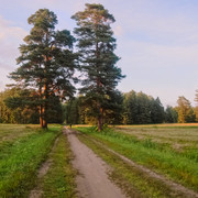 DSCF4023
