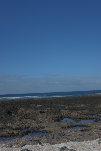 DSCF8470