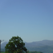 DSCF7873