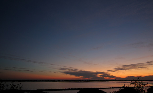 IMG-3385
