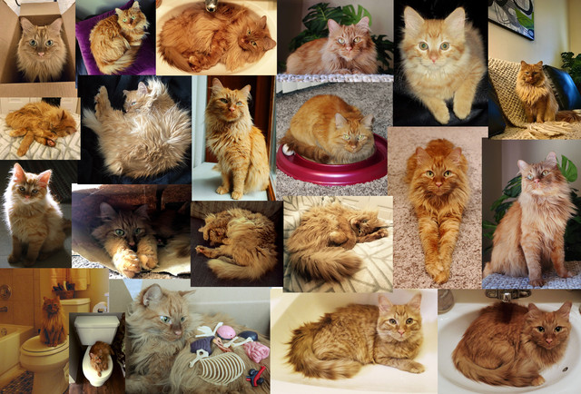 Mildred